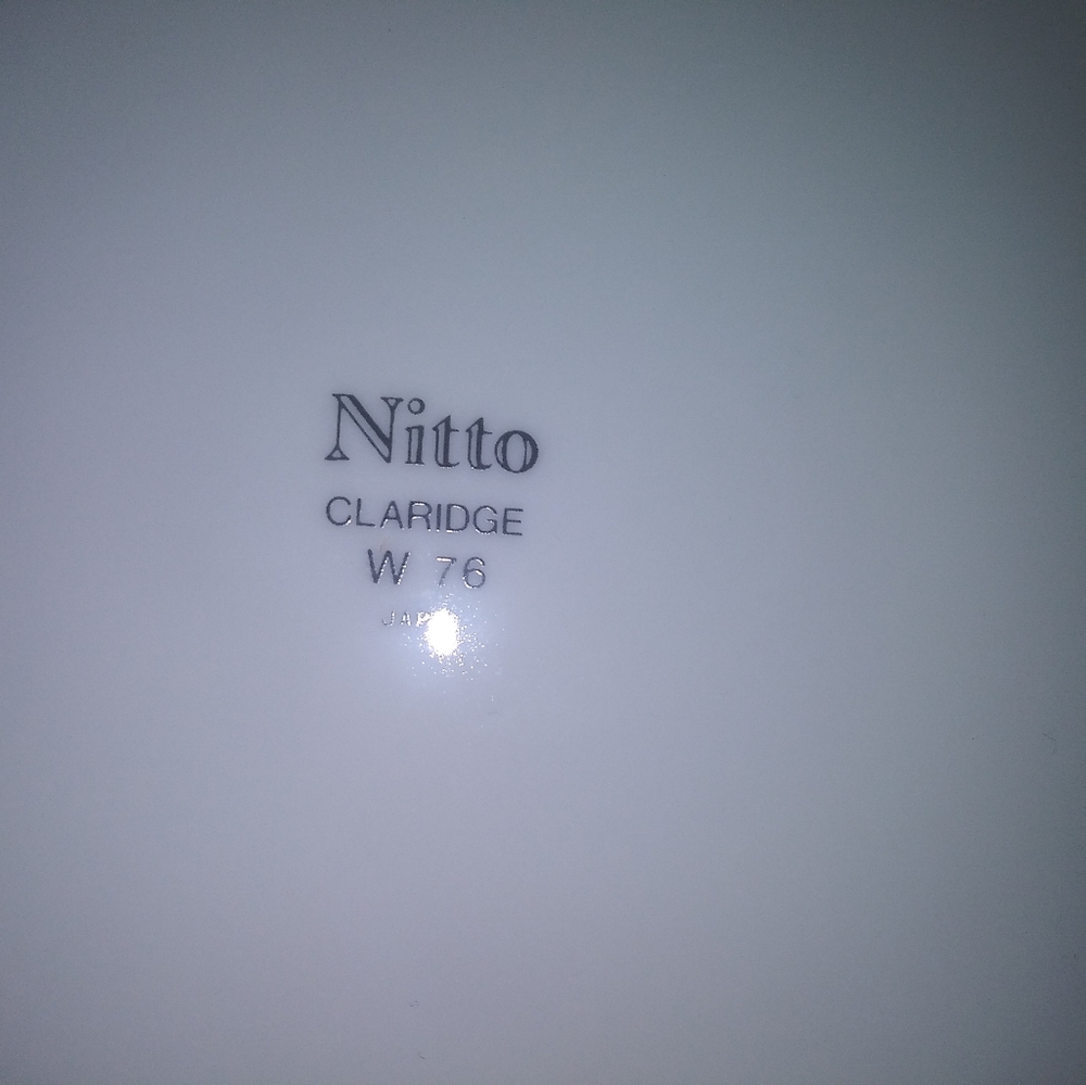 Nitto Claridge W76 Fine China from Japan